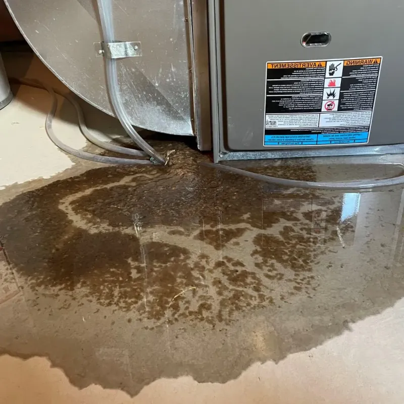 Pipe Burst and Leak Restoration in Atchison County, MO